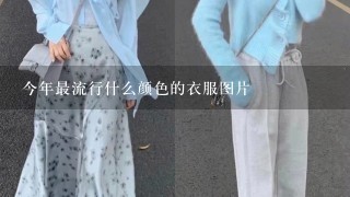 今年最流行什么颜色的衣服图片