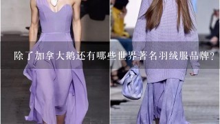 除了加拿大鹅还有哪些世界著名羽绒服品牌？