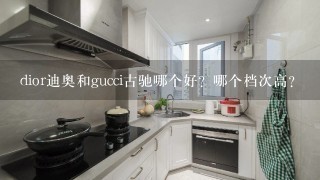 dior迪奥和gucci古驰哪个好？哪个档次高？