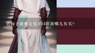 咨询下迪奥女包2014新款哪儿有买？