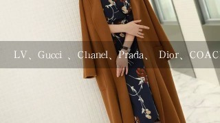 LV、Gucci 、Chanel、Prada、 Dior、COACH、Armani、Valentino等奢侈品手提包的价格区间有人知道的吗？