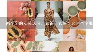 两个字的女装店名，衣锦，衣橱？这两个字那个好？