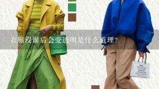 衣服浸湿后会变透明是什么道理？