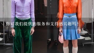 你对我们提供的服务和支持感兴趣吗